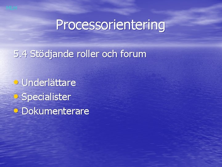 MLH Processorientering 5. 4 Stödjande roller och forum • Underlättare • Specialister • Dokumenterare