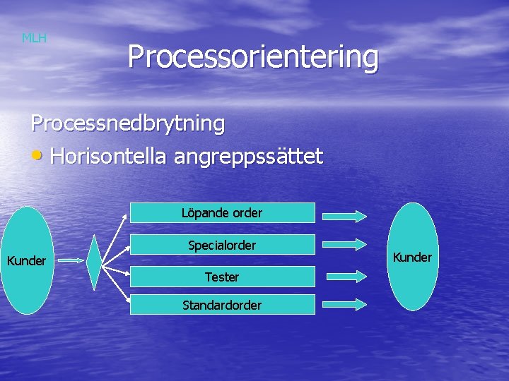 MLH Processorientering Processnedbrytning • Horisontella angreppssättet Löpande order Specialorder Kunder Tester Standardorder Kunder 