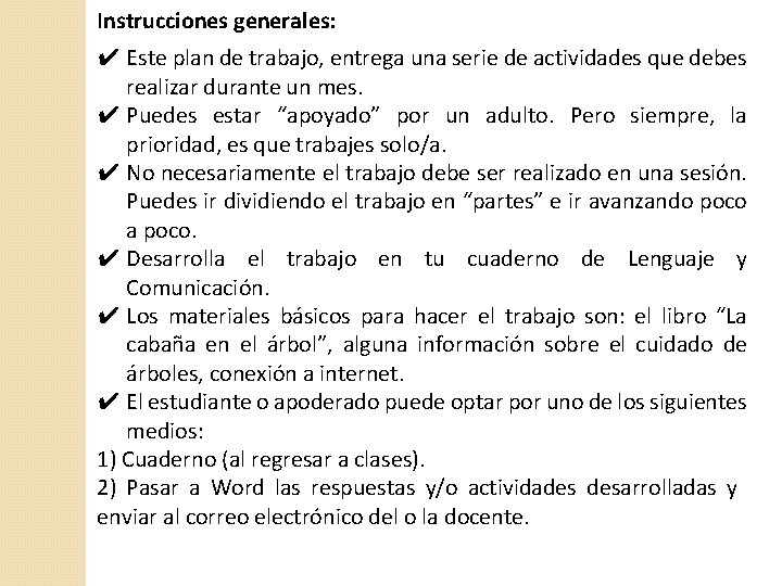 Instrucciones generales: ✔ Este plan de trabajo, entrega una serie de actividades que debes