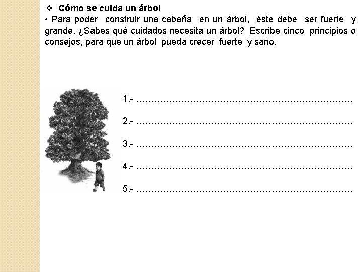 ❖ Cómo se cuida un árbol • Para poder construir una cabaña en un