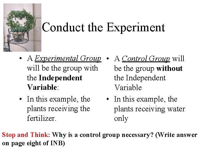 Conduct the Experiment • A Experimental Group • A Control Group will be the