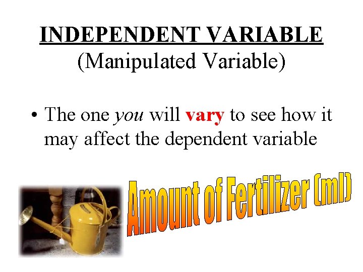 INDEPENDENT VARIABLE (Manipulated Variable) • The one you will vary to see how it