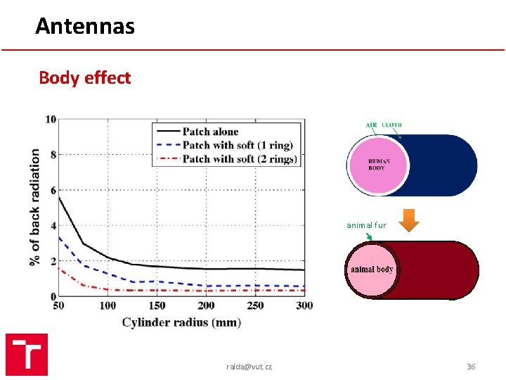 Antennas Body effect animal fur raida@vut. cz 36 