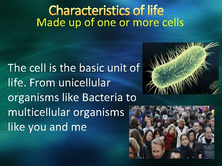 Characteristics of life Made up of one or more cells The cell is the