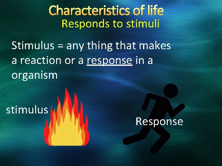 Characteristics of life Responds to stimuli Stimulus = any thing that makes a reaction