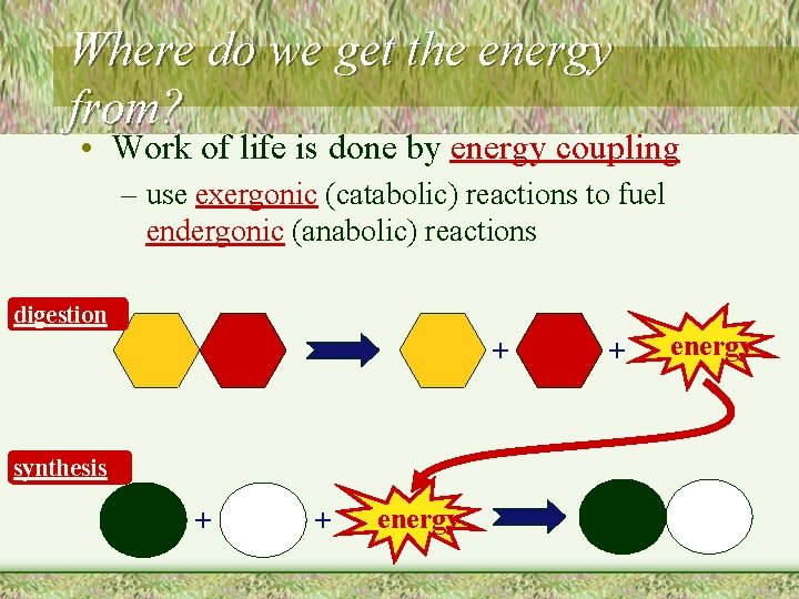 Where do we get the energy from? • Work of life is done by