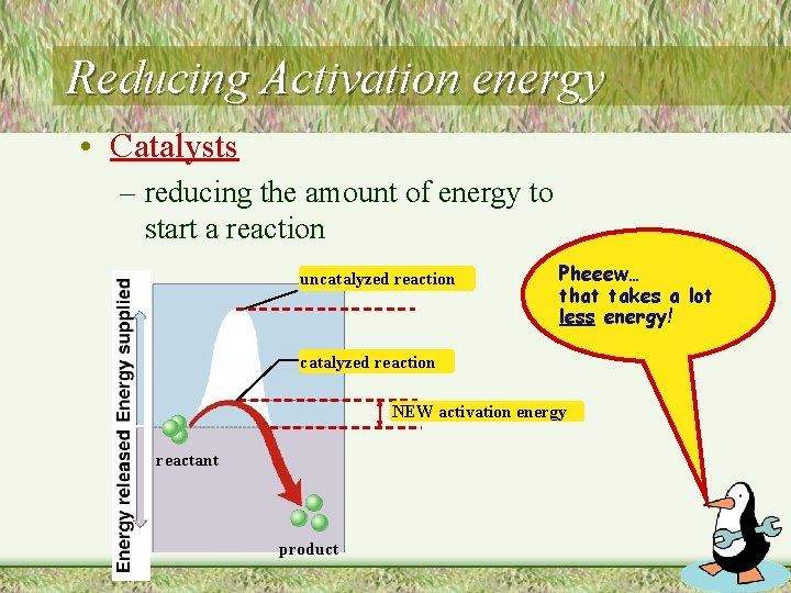 Reducing Activation energy • Catalysts – reducing the amount of energy to start a