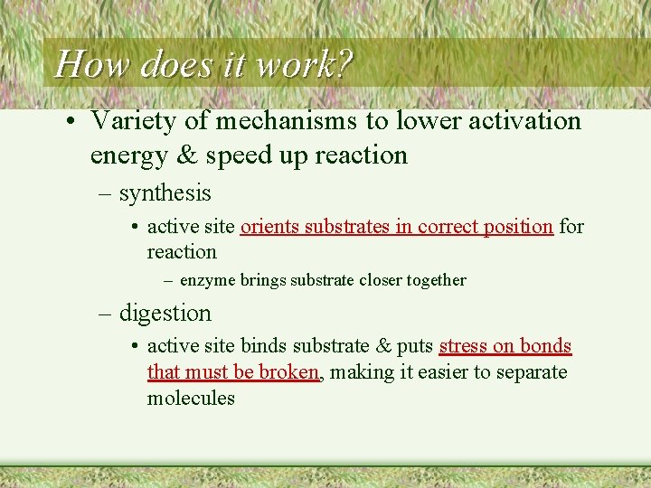 How does it work? • Variety of mechanisms to lower activation energy & speed
