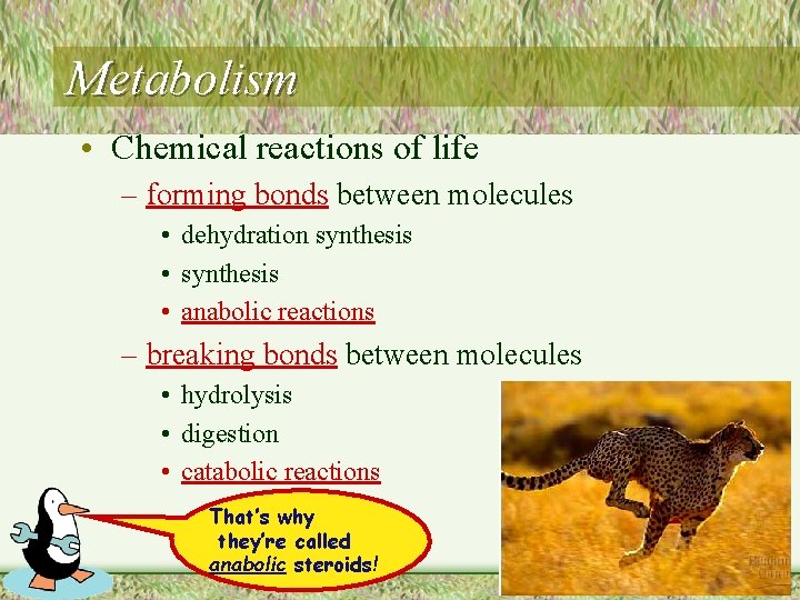 Metabolism • Chemical reactions of life – forming bonds between molecules • dehydration synthesis