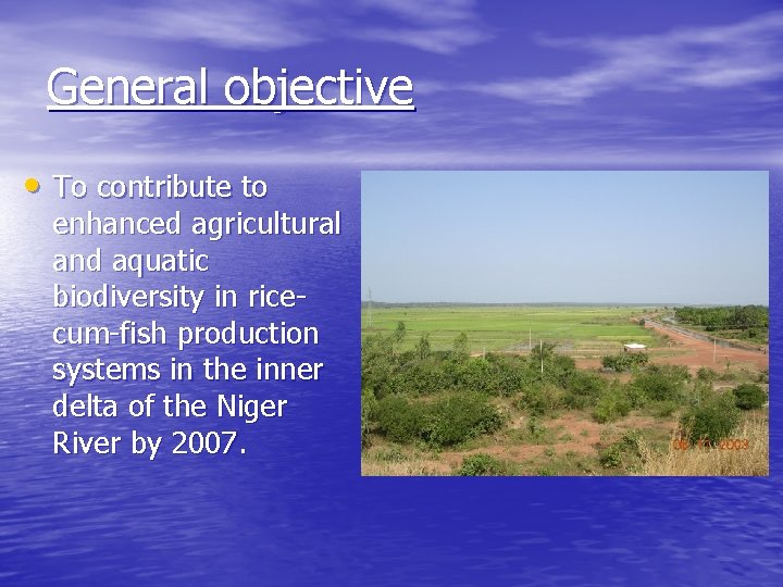 General objective • To contribute to enhanced agricultural and aquatic biodiversity in ricecum-fish production