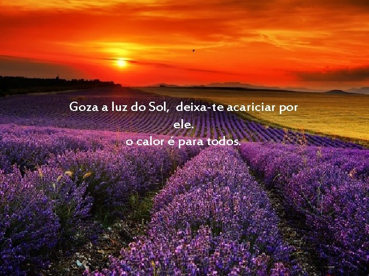 Goza a luz do Sol, deixa-te acariciar por ele. o calor é para todos.