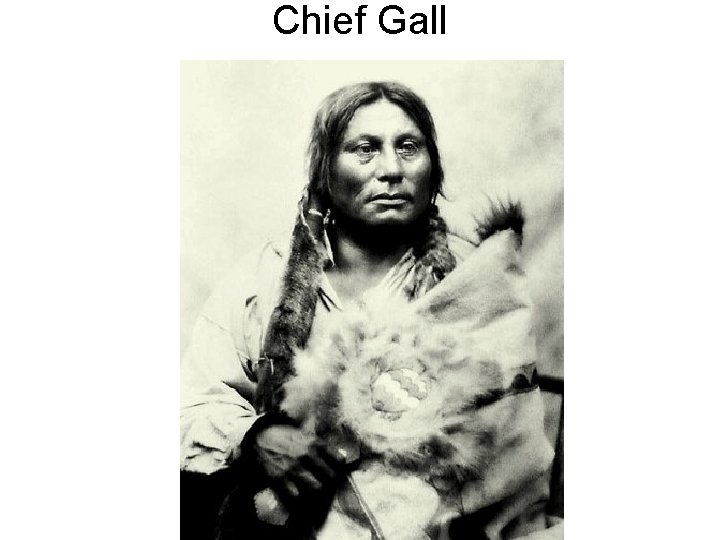 Chief Gall 