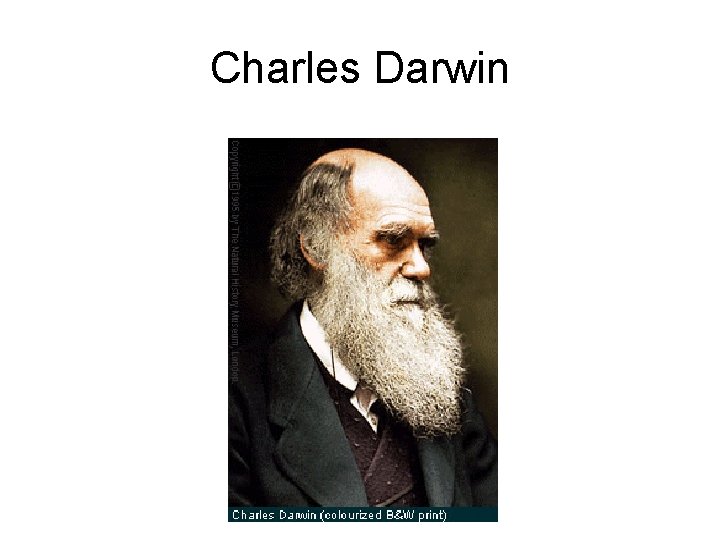 Charles Darwin 