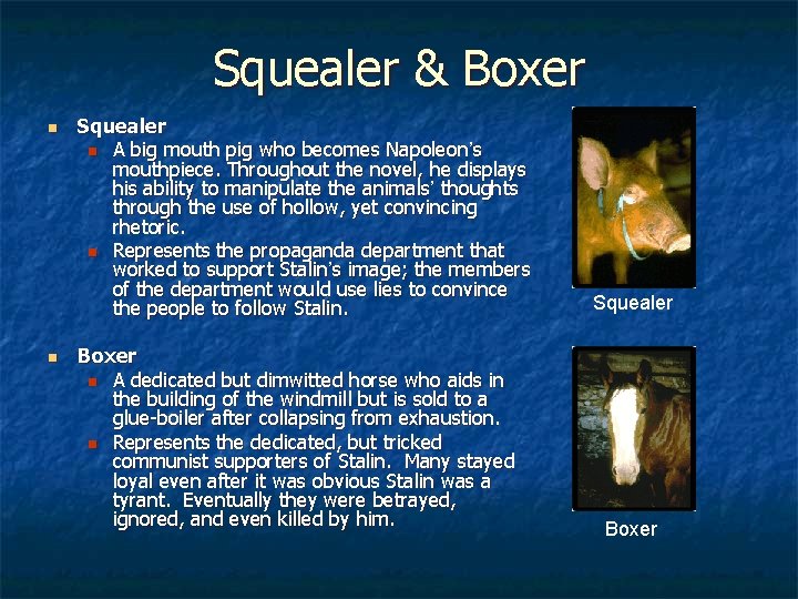 Squealer & Boxer n n Squealer n A big mouth pig who becomes Napoleon