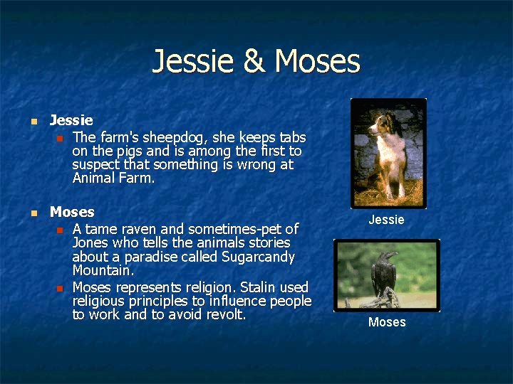 Jessie & Moses n n Jessie n The farm's sheepdog, she keeps tabs on