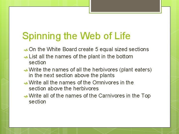 Spinning the Web of Life On the White Board create 5 equal sized sections