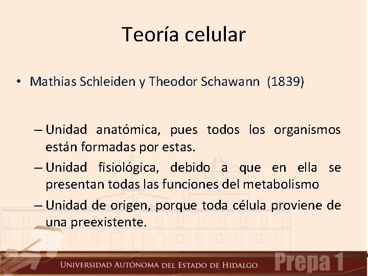 Teoría celular • Mathias Schleiden y Theodor Schawann (1839) – Unidad anatómica, pues todos