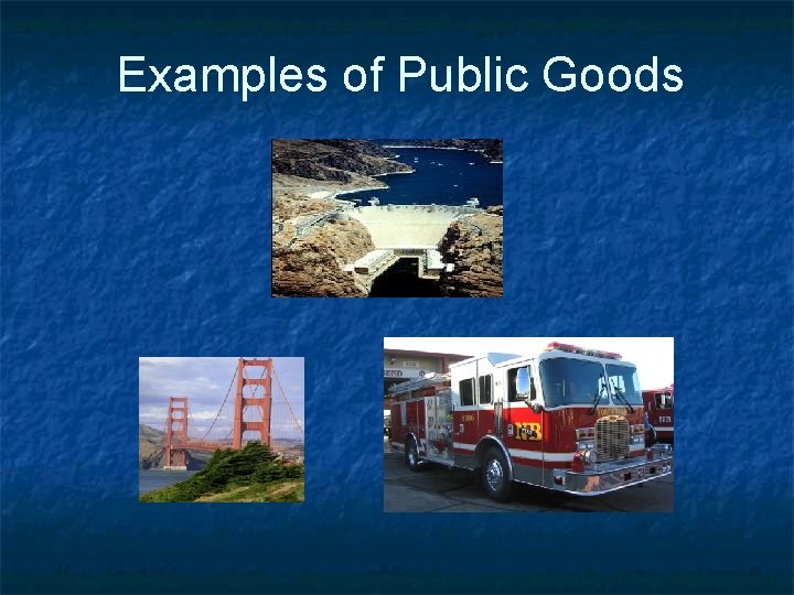 Examples of Public Goods 