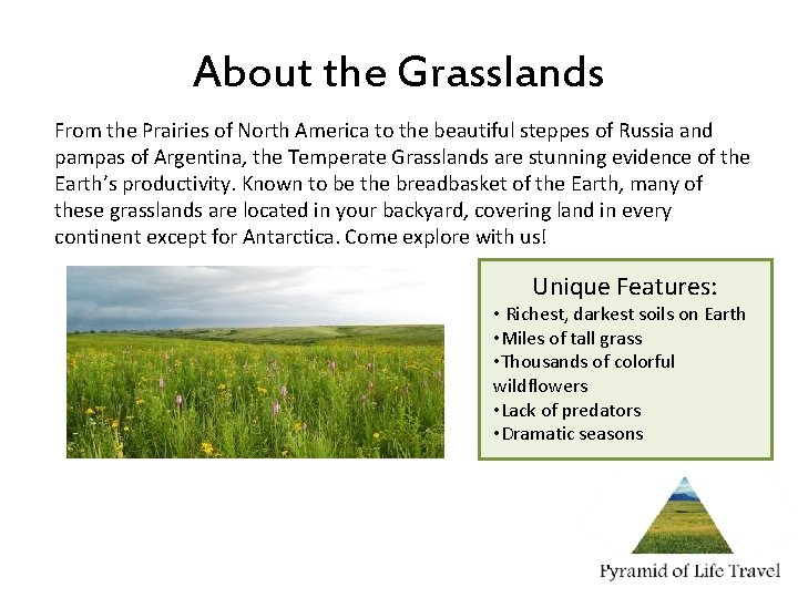 The Breadbasket Visit the Worlds Beautiful Temperate Grasslands