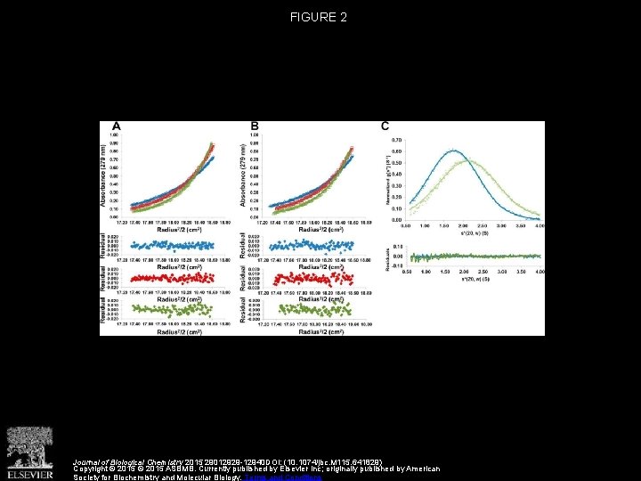 FIGURE 2 Journal of Biological Chemistry 2015 29012929 -12940 DOI: (10. 1074/jbc. M 115.