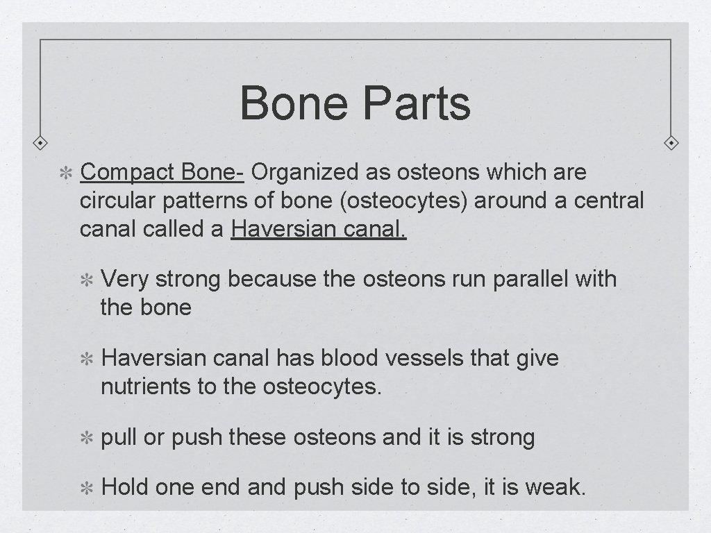 Bone Parts Compact Bone- Organized as osteons which are circular patterns of bone (osteocytes)