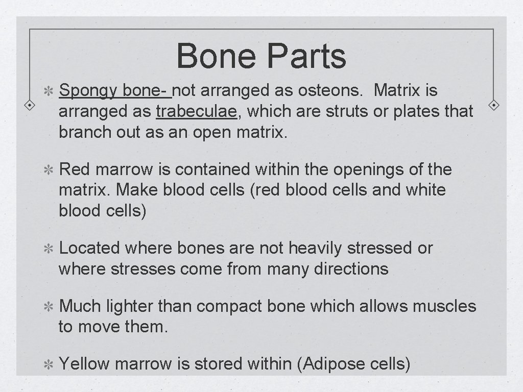 Bone Parts Spongy bone- not arranged as osteons. Matrix is arranged as trabeculae, which