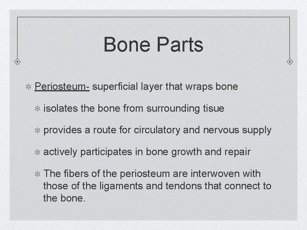 Bone Parts Periosteum- superficial layer that wraps bone isolates the bone from surrounding tisue