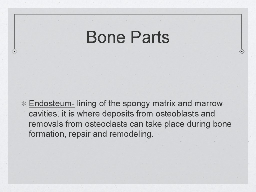 Bone Parts Endosteum- lining of the spongy matrix and marrow cavities, it is where