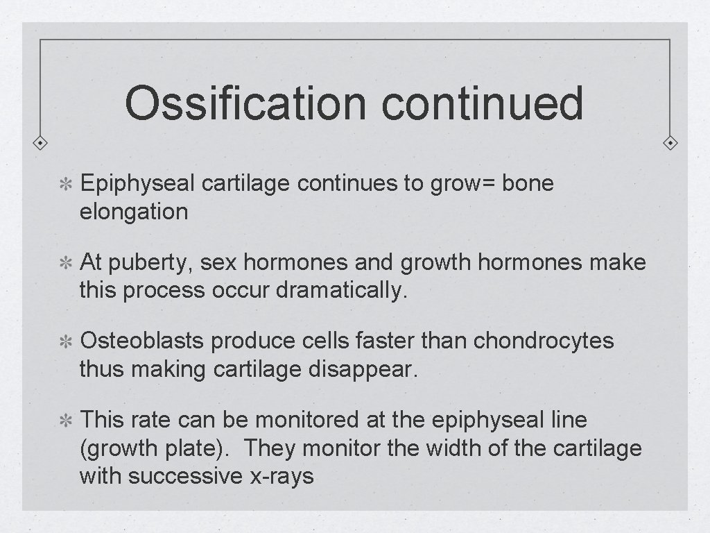 Ossification continued Epiphyseal cartilage continues to grow= bone elongation At puberty, sex hormones and