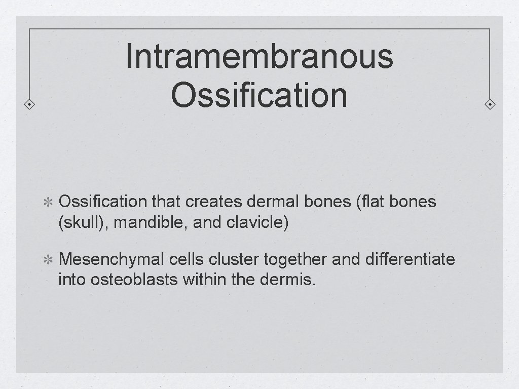 Intramembranous Ossification that creates dermal bones (flat bones (skull), mandible, and clavicle) Mesenchymal cells