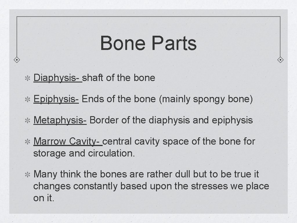 Bone Parts Diaphysis- shaft of the bone Epiphysis- Ends of the bone (mainly spongy