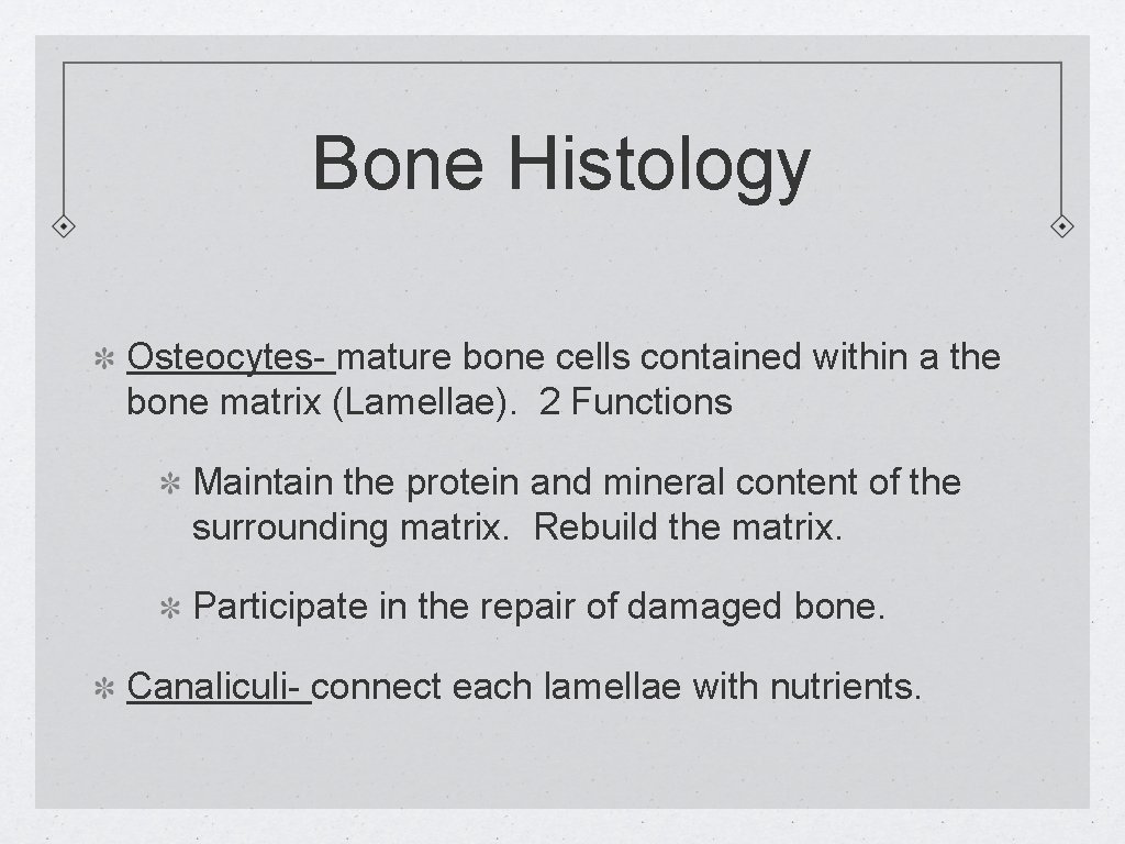 Bone Histology Osteocytes- mature bone cells contained within a the bone matrix (Lamellae). 2