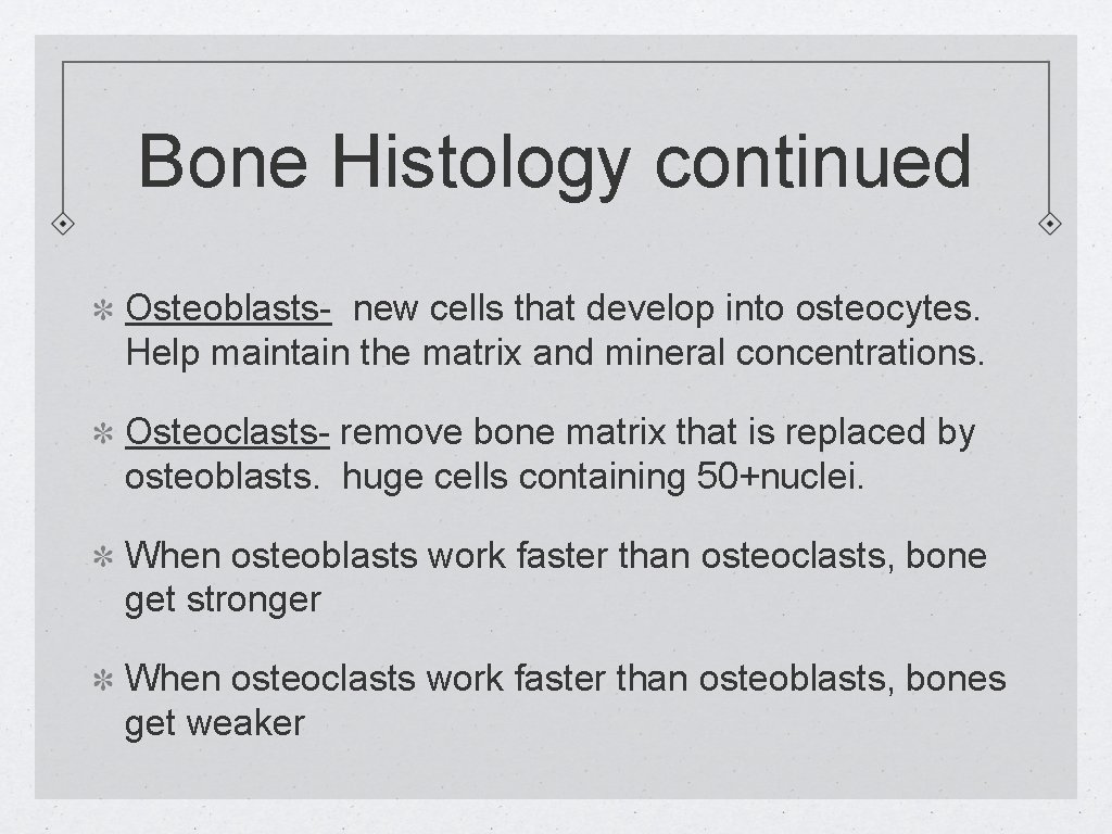 Bone Histology continued Osteoblasts- new cells that develop into osteocytes. Help maintain the matrix