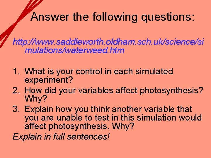 Answer the following questions: http: //www. saddleworth. oldham. sch. uk/science/si mulations/waterweed. htm 1. What