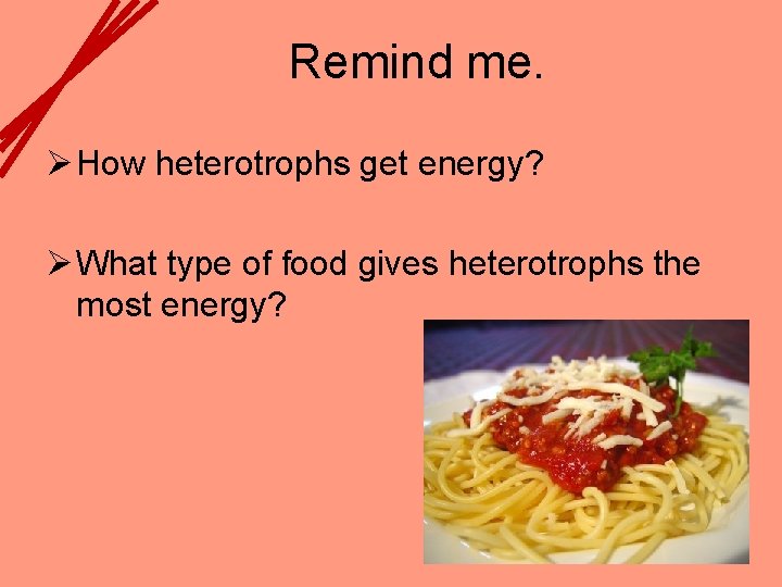 Remind me. Ø How heterotrophs get energy? Ø What type of food gives heterotrophs