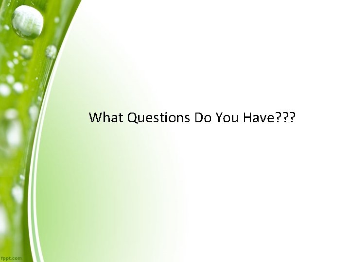 What Questions Do You Have? ? ? 