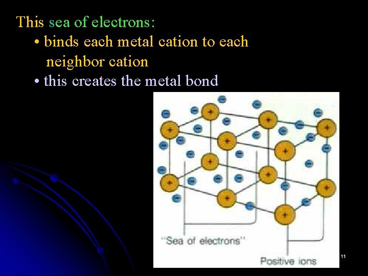 This sea of electrons: • binds each metal cation to each neighbor cation •