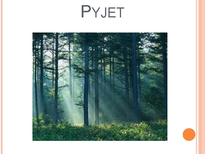 PYJET 