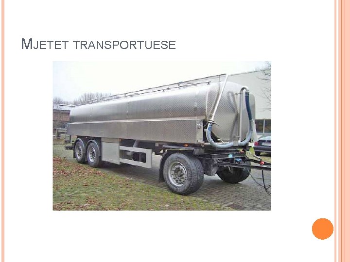 MJETET TRANSPORTUESE 