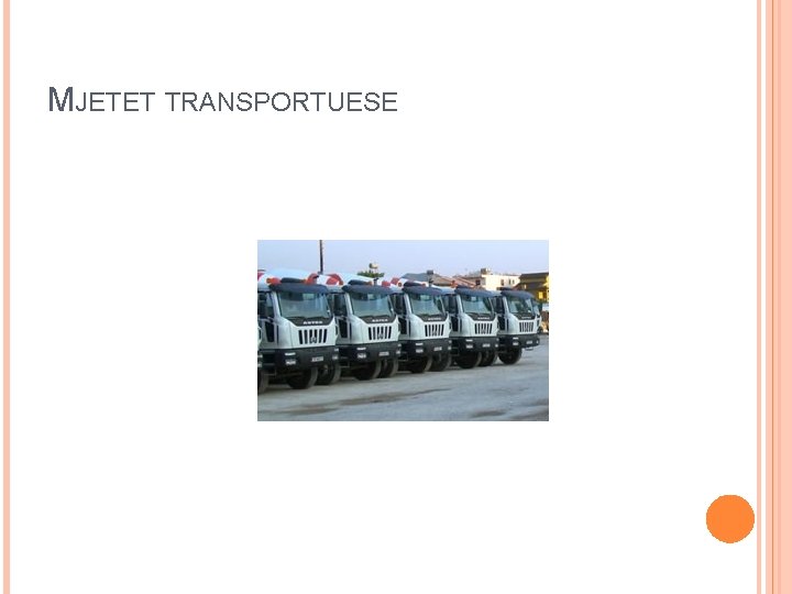 MJETET TRANSPORTUESE 