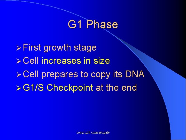 G 1 Phase Ø First growth stage Ø Cell increases in size Ø Cell