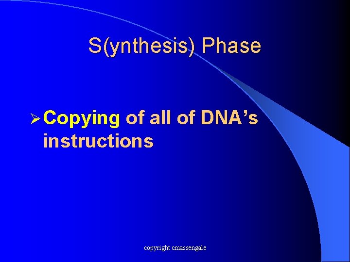 S(ynthesis) Phase Ø Copying of all of DNA’s instructions copyright cmassengale 