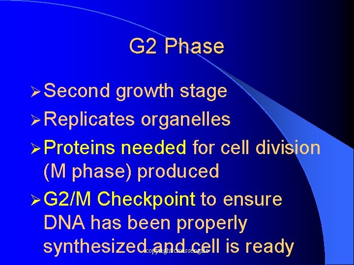 G 2 Phase Ø Second growth stage Ø Replicates organelles Ø Proteins needed for