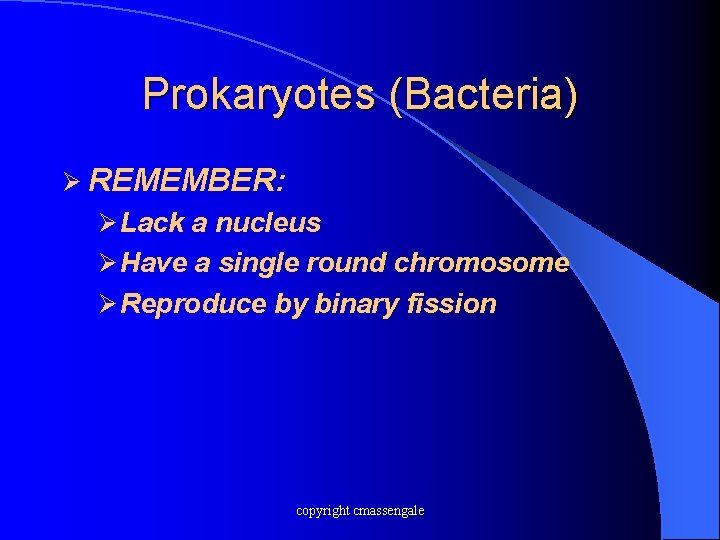 Prokaryotes (Bacteria) Ø REMEMBER: Ø Lack a nucleus Ø Have a single round chromosome