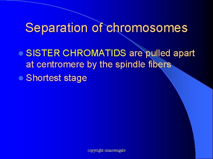 Separation of chromosomes l SISTER CHROMATIDS are pulled apart at centromere by the spindle