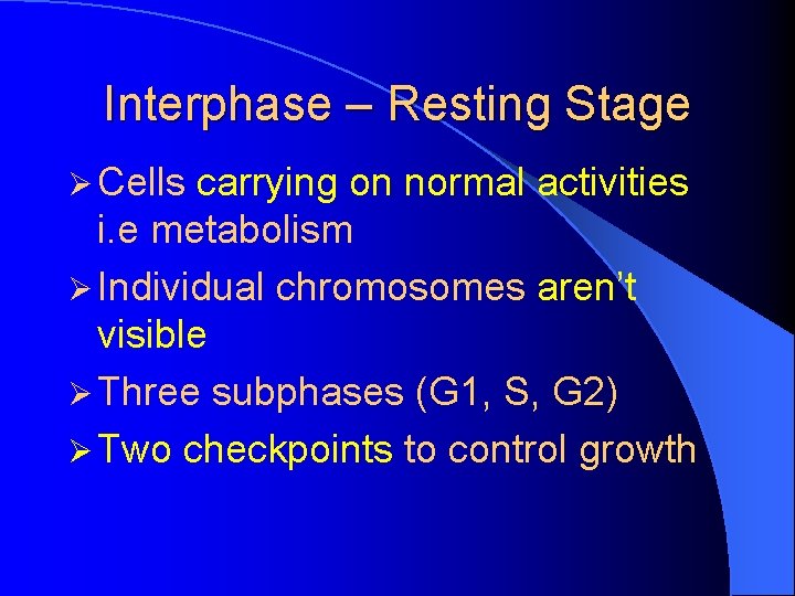 Interphase – Resting Stage Ø Cells carrying on normal activities i. e metabolism Ø
