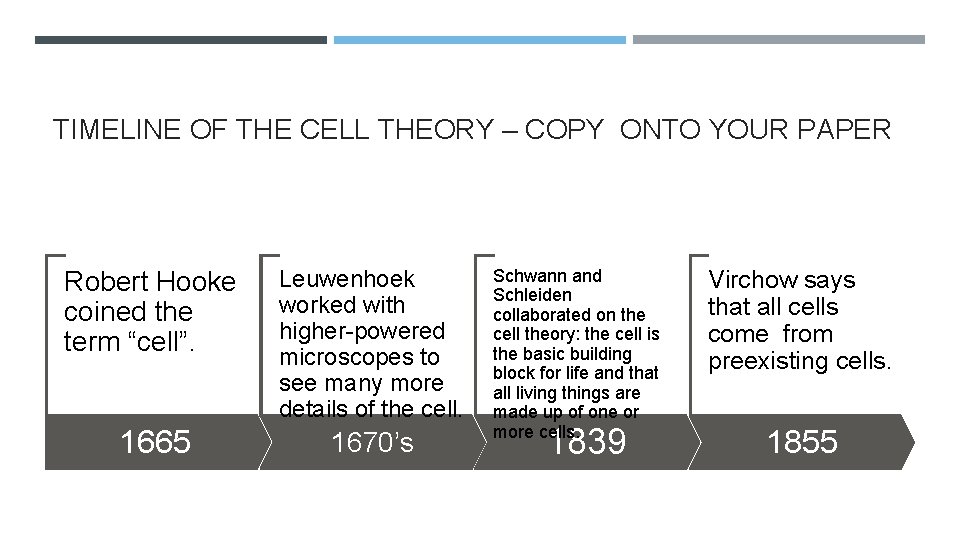 TIMELINE OF THE CELL THEORY – COPY ONTO YOUR PAPER Robert Hooke coined the