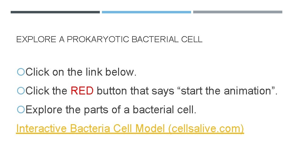 EXPLORE A PROKARYOTIC BACTERIAL CELL Click on the link below. Click the RED button