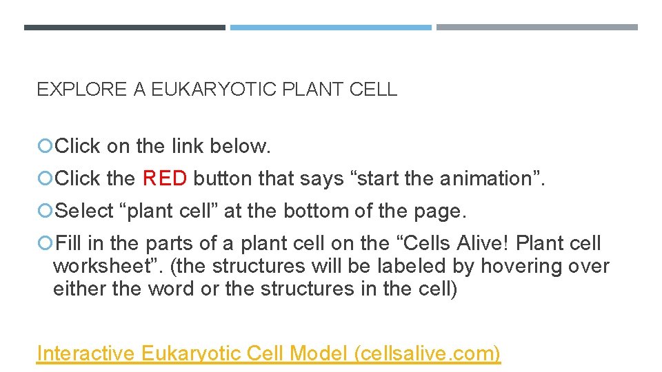 EXPLORE A EUKARYOTIC PLANT CELL Click on the link below. Click the RED button