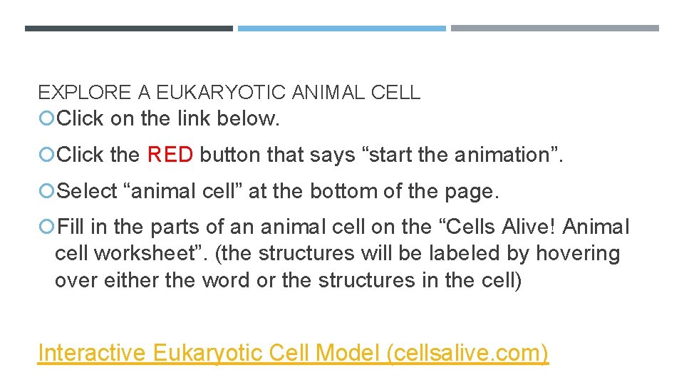 EXPLORE A EUKARYOTIC ANIMAL CELL Click on the link below. Click the RED button